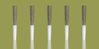 10 Things to Consider before Launching a Pre-Roll Brand Cannabis Pre-rolls With Reflections on an Artisan Green Background