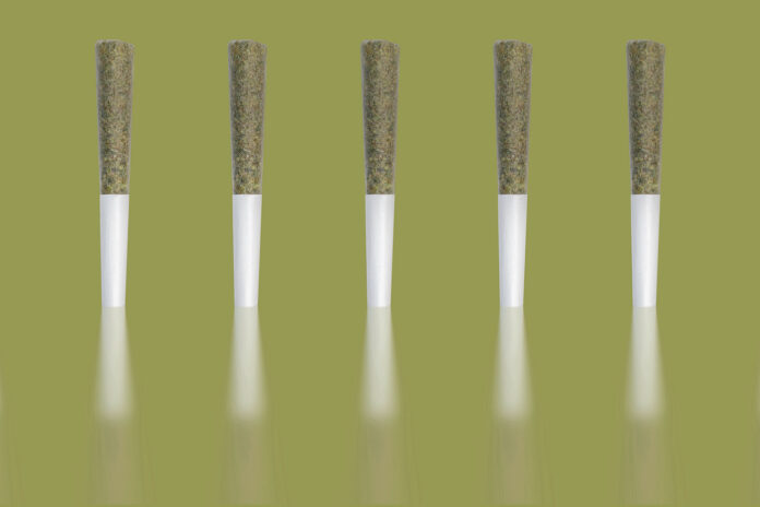 Cannabis Pre-rolls With Reflections on an Artisan Green Background