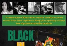 MAKR House Partners with Four Leading Black-owned Brands to Launch ‘Black in Business Box’ Across Select California Dispensaries black-in-business2-2-2023