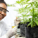 NJEDA To Launch Eligibility Assessment Tool for Phase I of Its Cannabis Equity Grant Program Offering Grants of $250,000 for Qualifying Start-Ups unnamed-4-3