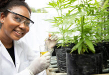 NJEDA To Launch Eligibility Assessment Tool for Phase I of Its Cannabis Equity Grant Program Offering Grants of $250,000 for Qualifying Start-Ups unnamed-4-3