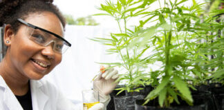 NJEDA To Launch Eligibility Assessment Tool for Phase I of Its Cannabis Equity Grant Program Offering Grants of $250,000 for Qualifying Start-Ups unnamed-4-3