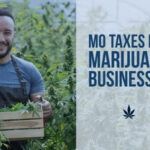 Missouri Marijuana Entrepreneurs to Receive More Tax Deductions with Amendment 3, Explains Cannabis CPA Expert unnamed-6