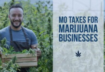 Missouri Marijuana Entrepreneurs to Receive More Tax Deductions with Amendment 3, Explains Cannabis CPA Expert unnamed-6
