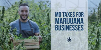 Missouri Marijuana Entrepreneurs to Receive More Tax Deductions with Amendment 3, Explains Cannabis CPA Expert unnamed-6