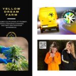 Yellow Dream Farms Launches WEEL: Revolutionizing Cannabis Delivery and Shopping Experience Yellow Dream Farm Launches WEEL App