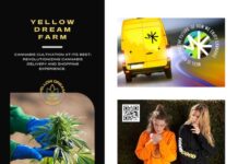 Yellow Dream Farms Launches WEEL: Revolutionizing Cannabis Delivery and Shopping Experience Yellow Dream Farm Launches WEEL App