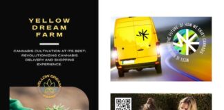 Yellow Dream Farms Launches WEEL: Revolutionizing Cannabis Delivery and Shopping Experience Yellow Dream Farm Launches WEEL App