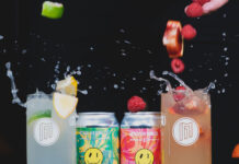 Modist Infused Seltzers Modist