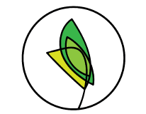 Stem Haverhill hosts First Annual Bong & Pong Championship to benefit YWCA sexual assault and domestic violence programs Stem logo