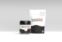 Canndescent VOLCANNX Canndescent