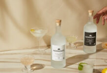 INTRODUCING NOWADAYS, THE FIRST NATIONALLY AVAILABLE CANNABIS-INFUSED SPIRIT Nowadays