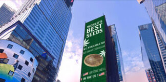 TIMES SQUARE TO FEATURE THE FIRST 4/20 NEW YORK CITY “CANNABIS IS LEGAL” COUNTDOWN Royal Queen Seeds Times Square