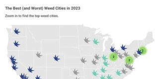 Study Finds Portland Is the Best City for Cannabis in America, Birmingham the Worst The Best (and Worst) Weed Cities in 2023