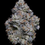 Fig Farms Takes First Place for Indoor Flower and Awarded “Best In Show” at 2023 Emerald Cup 9491 Fig Farms Blue Face Final