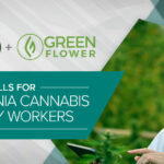 CCIA and Green Flower join forces to level up cannabis skills for California cannabis industry workers CCIA x Green Flower
