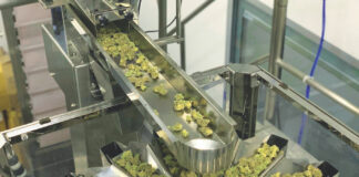 High Tek Automation for the Future High Tek USA