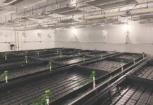 PermaTherm Introduces Direct-to-End-User Approach for CO2 Optimization PermaTherm IMG 0441 web