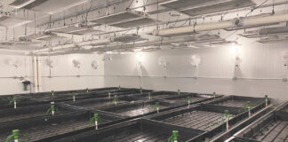 PermaTherm Introduces Direct-to-End-User Approach for CO2 Optimization PermaTherm IMG 0441 web