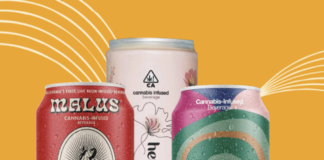 Beverage Brand Incubator and Accelerator Harmony Craft Beverages Launches First Field and Trade Marketing Program Specifically for Cannabis Drinks Screenshot 2023-05-31 at 10.19.10 AM