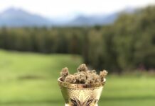 DISCOVER CALIFORNIA’S DANKEST WEED PRODUCTS IN THE 2023 HIGH TIMES CANNABIS CUP SOCAL PEOPLE’S CHOICE COMPETITION Trophy