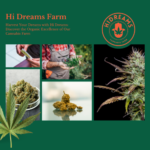 Harvest Your Dreams with Hi Dreams Farm: Discover the Organic Excellence aa361862-0b5f-41bc-9601-80bcff78cf51