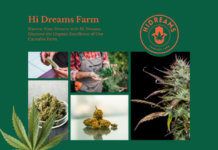 Harvest Your Dreams with Hi Dreams Farm: Discover the Organic Excellence aa361862-0b5f-41bc-9601-80bcff78cf51