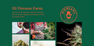 Harvest Your Dreams with Hi Dreams Farm: Discover the Organic Excellence aa361862-0b5f-41bc-9601-80bcff78cf51
