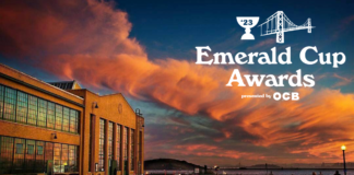 HASH QUEEN MILA JANSEN TO BE HONORED WITH THE “WILLIE NELSON” AWARD FOR A LIFETIME OF ADVOCACY AT THE 19th ANNUAL EMERALD CUP AWARDS emerald-cup-awards