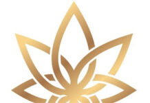 3CHI Study Shows Delta-8 THC Safety 3CHI Logo