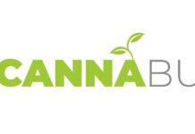 Black CannaBusiness and Parallel Bring National Education Series Empowering Minority Cannabis Entrepreneurs to Austin Black-CannaBusiness-Logo