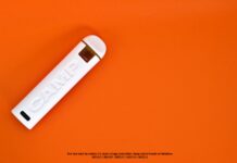 CAMP Set to Unveil Nevada’s First Variable Voltage Solventless Disposable Vape Featuring Innovative Wickless Design CAMP Disposable 3.0 Live Rosin Credits Addie Martin