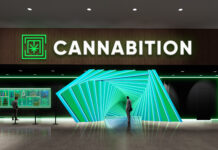 Planet 13 Announces the Return of Cannabition, an Immersive Cannabis Experience Designed by Renowned Broadway Creative Director David Korins Cannabition entrance rendering at Planet 13
