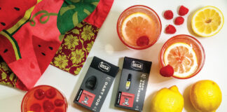 INSA CANNABIS UNVEILS BOTH NEW AND LIMITED-EDITION PRODUCTS IN HONOR OF THE SUMMER SEASON INSA carts