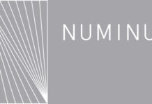Numinus Appoints New Chief Financial Officer Numinus logo (1)