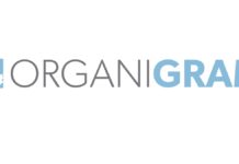Organigram Reports Fourth Quarter and Fiscal 2024 Results Organigram Holdings logo