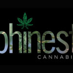 Apical Biotek and Phinest Cannabis Announce New Tissue Culture Joint Venture: Steristarts Phinest Cannabis logo