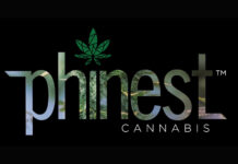 Apical Biotek and Phinest Cannabis Announce New Tissue Culture Joint Venture: Steristarts Phinest Cannabis logo
