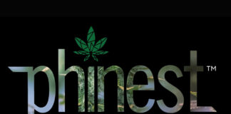 Apical Biotek and Phinest Cannabis Announce New Tissue Culture Joint Venture: Steristarts Phinest Cannabis logo