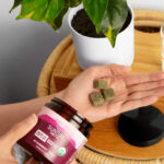 Sunsoil Names Lucinda Alcorn Vice President of Sales Sunsoil