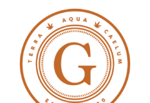 Genetica Unveils Flora Match: Powering Personalized Cannabis Retail Experiences with AI Untitled (1)