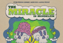The Miracle In Mundelein makes history as Illinois’ first music concert with on-site cannabis consumption image