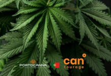 Cantourage UK Partners with Portocanna to Improve Affordable Medical Cannabis Access in the UK Cantourage and Portocanna further cement their partnership with entry to the UK