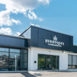 Herbology Cannabis Co. Expands Its Footprint with Fourth Location in Ypsilanti, MI Herbology Cannabis Co. Ypsilanti - Photo by Qonkur Media