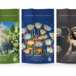 FLORA + BAST Launches Entourage, The First-of-Its-Kind THC and Entheogen Gummy Line Buddha Pouch Lineup v1