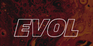 EVOL by Future and Northern Emeralds Partner Evol by Future logo
