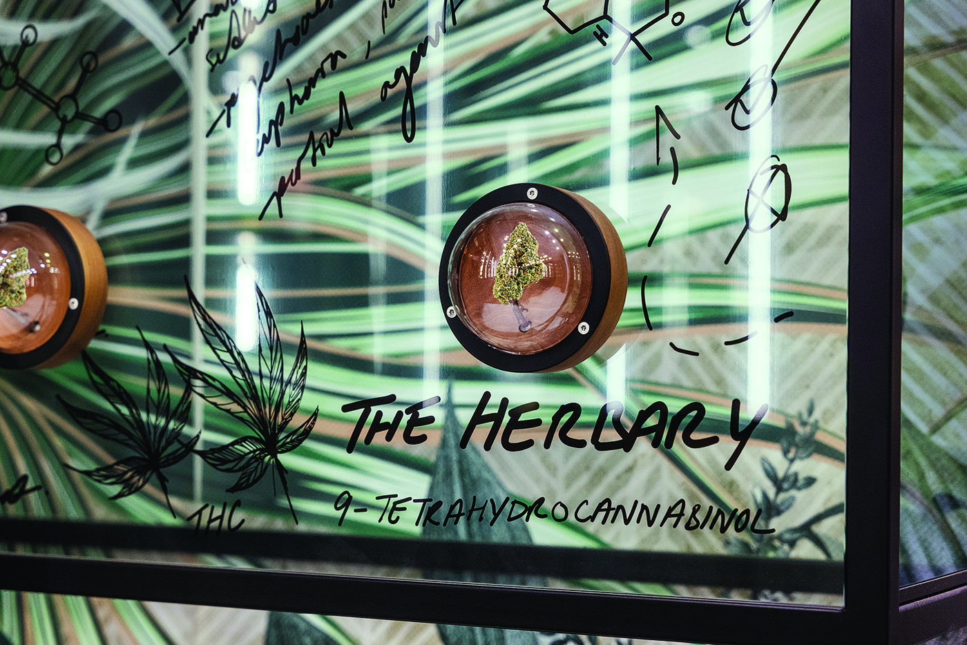 Herbary logo
