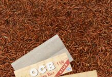 OCB Launches America’s Only Real Rice Cones, Expanding the Brand’s ‘Nature Collection’ of Natural Rolling Papers and Cones OCB Brown Rice Cones