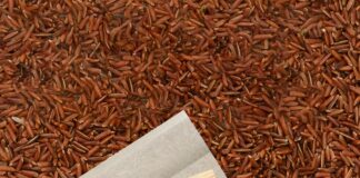 OCB Launches America’s Only Real Rice Cones, Expanding the Brand’s ‘Nature Collection’ of Natural Rolling Papers and Cones OCB Brown Rice Cones