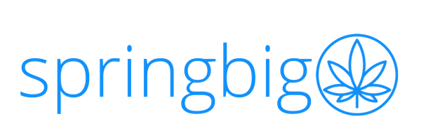 springbig logo blue on clear